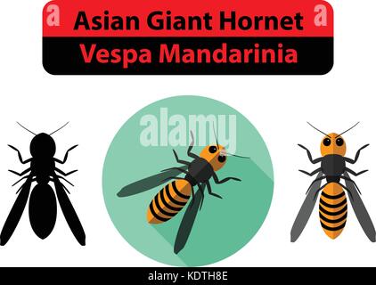 Asiatischen Riesen Hornet oder Vespa Mandarinia auf Weiß, Vektor Stock Vektor