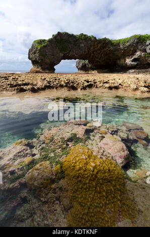 Natural Arch und Reef Pool, Martins, Niue, South Pacific Stockfoto