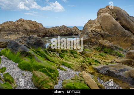 Rock Pool im grünen Algen bedeckt. Stockfoto