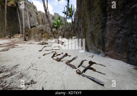 Liebe Niue mit Treibholz, Togo, Niue, South Pacific geschrieben Stockfoto