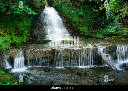 Ein kleiner Wasserfall bei rouken Glen Park, giffnock. Stockfoto