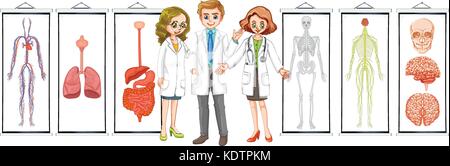Three doctors and different human system diagrams illustration Stock Vektor