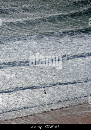 Langland Bay-Swansea, Großbritannien. Oktober 2017. Wetter in Großbritannien. Ein einsamer Schwimmer trotzt heute Nachmittag der stürmischen See in Langland Bay bei Swansea, während die Überreste des Hurrikans Ophelia die Britischen Inseln treffen. Quelle: Phil Rees/Alamy Live News Stockfoto