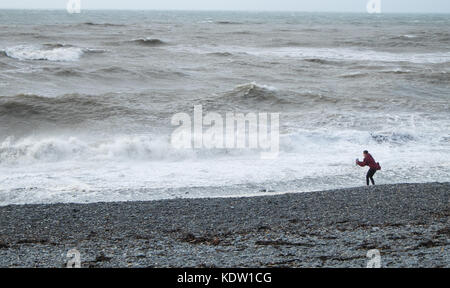 Aberystwyth, Wales, UK. 16 Okt, 2017. UK Wetter: Sturm Ophelia in Aberystwyth, Wales, Großbritannien, Großbritannien, Europa. Starke Winde in der Irischen See kommen, mit Böen bis zu 70 mph, Teig die Cardigan Bay Stadt Aberystwyth, Ceredigion, West Wales. Das Met Office hat Amber Warnungen für die Region als Überreste von Hurrikan Ophelia erreichen Großbritannien ausgestellt. Einen Zauber der sehr windigen Wetter ist heute in Verbindung mit ex-Ophelia erwartet. Längere Fahrzeiten und Stornierungen sind wahrscheinlich, wie Straße, Schiene, Luft- und Fährverbindungen können betroffen als auch Brücke Verschlüsse. Credit: Paul Quayle/Alamy leben Nachrichten Stockfoto