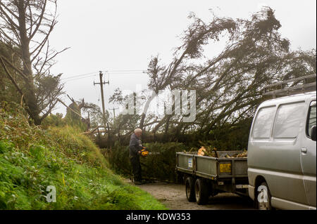 Schull, Irland 16. Oktober 2017. Der Ex-Hurrikan Ophelia verursachte am Montag bei ihrem Eintreffen in Irland weitreichende strukturelle Schäden. Lokale Freiwillige räumen einen gefallenen Baum in der Nähe von Schull. Quelle: AG News/Alamy Live News. Stockfoto