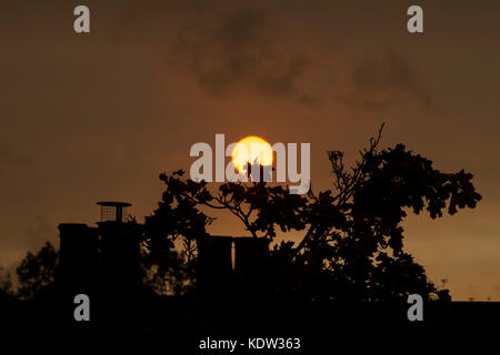 Wimbledon, London, Großbritannien. Oktober 2017. Die untergehende Sonne leuchtet durch Staub, während der Rand des Hurrikans Ophelia London passiert. Quelle: Malcolm Park/Alamy Live News. Stockfoto