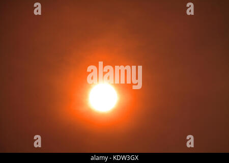 Hook Norton, Oxfordshire, Großbritannien. 16.. Oktober 2017. Hurrikan Ophelia wischt Staub in der Atmosphäre, um die Rote Sonne zu schaffen, die gerade zu brechen beginnt durch oxfordshire england uk Credit: MELVIN GREEN/Alamy Live News Stockfoto