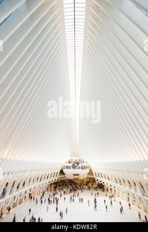 Die beeindruckende Architektur des Oculus am World Trade Center Verkehrsknotenpunkt in New York City, United States Stockfoto