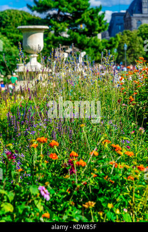 Tuileries Garden an einem schönen sonnigen Sommertag Stockfoto