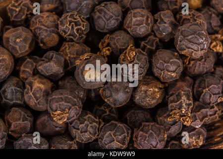 In der Nähe von schwarzer Pfeffer Körner als Hintergrund Stockfoto