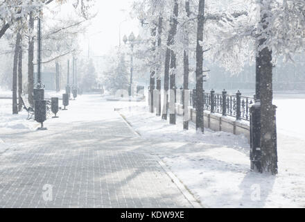 Magic Winter City Park glühende durch Sonnenlicht. verschneite Stadt Landschaft. schöne Bäume im Frost. Hintergrundbeleuchtung sun Wirkung. Stockfoto