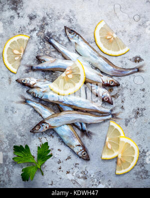 Frische Fische fangen Shishamo voll Eier flach auf schäbige Metall Hintergrund. Shishamo Fisch ist Fisch für die japanische Küche kochen Tempura. Frische Sh Stockfoto