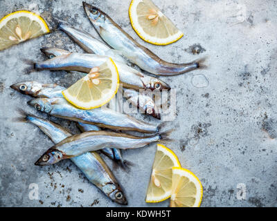 Frische Fische fangen shishamo voll Eier flach auf schäbige Metall Hintergrund. shishamo Fisch ist Fisch für die japanische Küche kochen Tempura. Frische sh Stockfoto