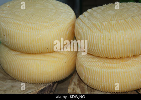 Einige große Formen der frische Käse auf dem Markt Stockfoto