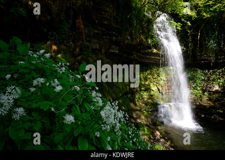 Glencar Wasserfall, Inspirieren, Inspiration, das gestohlene Kind, Gedicht, Lyrik, William Butler Yeats, County Leitrim, Irland, wilden Atlantik, RM Irland, Stockfoto