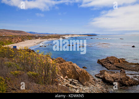 Piedras Blancas, San Simeon, San Luis Obispo County, Kalifornien, USA Stockfoto