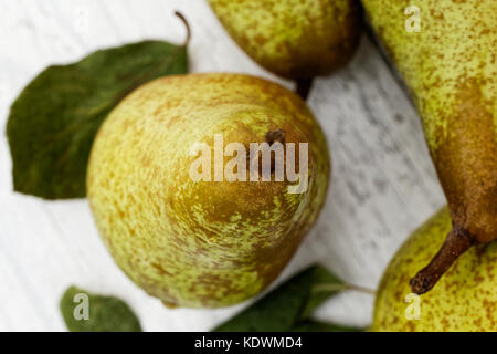 Nahaufnahme von Abate Fetel Birne mit Blätter auf weiß lackiertes Holz von oben. Stockfoto