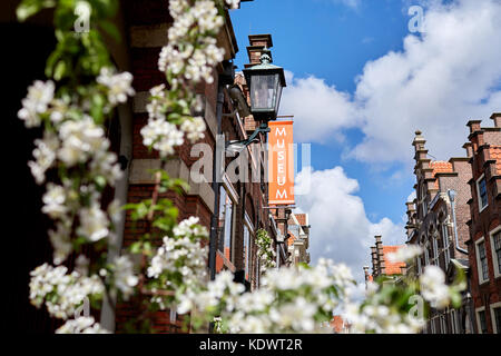 Die Außenseite des Frans Hals Museum in Haarlem, Niederlande Stockfoto