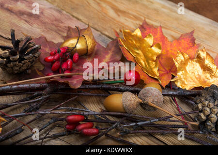 Fallen oder thanksgiving Hintergrund mit Eicheln, rote Beeren, golden und bunten Ahornblätter auf dem hölzernen Tisch Stockfoto