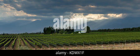 Die Anden von den Weinbergen der Uco Tal nr Tupungato, Mendoza, Provinz, Argentinien Stockfoto