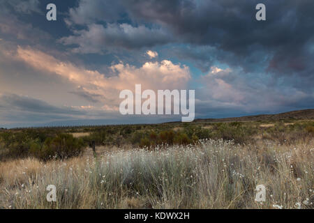 Recherchierst Licht auf dem Campo in inmitten der Weinberge des Uco Tal, Provinz Mendoza, Argentinien Stockfoto