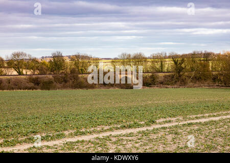 Eisenbahnbrücke und ländliche Ansichten von Kent in der Nähe von bekesbourne auf Barham Downs, in der Nähe von Canterbury, Kent, Großbritannien Stockfoto