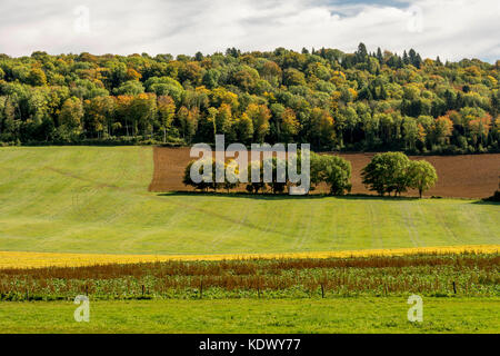 Landwirtschaftliche Landschaft in Jura. Bourgogne-Franche-Comté. Jura. Frankreich Stockfoto