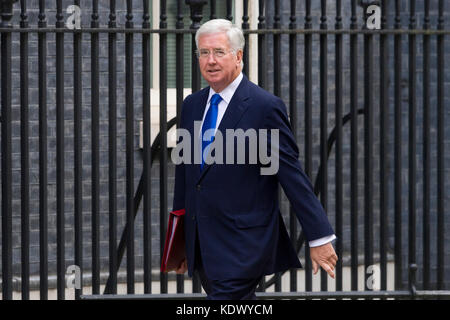 Sir Michael Fallon KCB MP, Staatssekretär für Verteidigung, die für eine 2,5 Stunden Kabinettssitzung in Downing Street 10, London, über Theresa zu hören Stockfoto