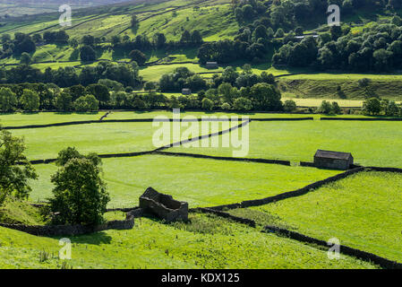 Stein Scheunen und grünen Feldern in der Nähe von Gunnerside, Swaledale in den Yorkshire Dales National Park, England. Stockfoto