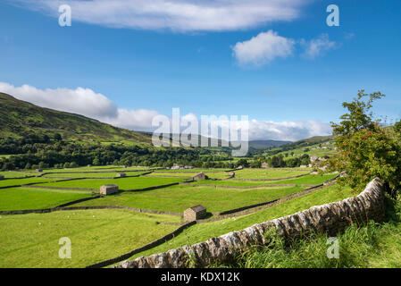 Die schöne Landschaft um das Dorf von Gunnerside in den Yorkshire Dales National Park, England. Stockfoto