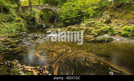 Foleys Brücke, tollymore Wald Stockfoto