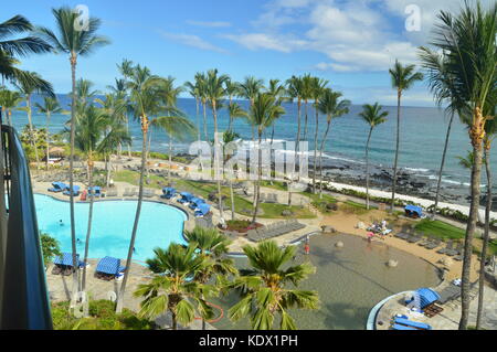 Palmen und Pool in Hawaii Stockfoto