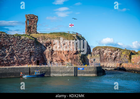 Anzeigen von Dunbar Castle und Hafen in East Lothian Schottland Stockfoto