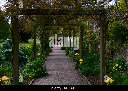 Rot, Schmiedeeisen, Sitz, Sitzen, Bank, Eichenlaub, Blatt, Design, Glyzinen, Rose, Rosen, Klettern, Pergola, Blarney Castle Arboretum, Cork, Irland, Stockfoto