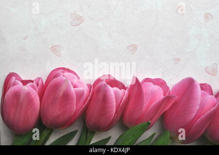 Frische Tulip Grenze auf einem strukturierten Hintergrund mit Kopie Raum Stockfoto