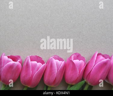 Frische Tulip Grenze auf einem strukturierten Hintergrund mit Kopie Raum Stockfoto
