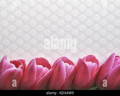 Frische Tulip Grenze auf einem strukturierten Hintergrund mit Kopie Raum Stockfoto