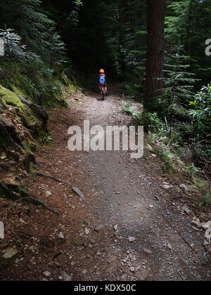 Kind trail Reiten in snowdonia Coed y brenin Stockfoto