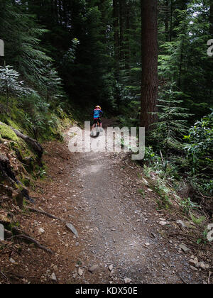 Kind trail Reiten in snowdonia Coed y brenin Stockfoto