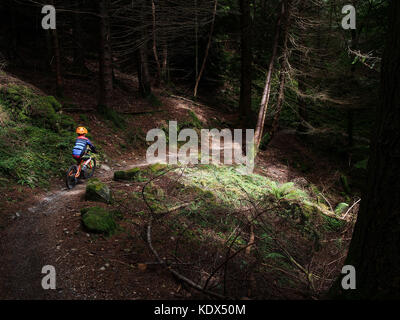 Kind trail Reiten in snowdonia Coed y brenin Stockfoto