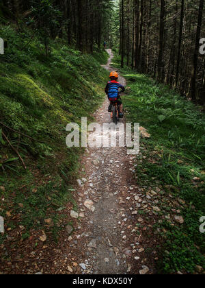 Kind trail Reiten in snowdonia Coed y brenin Stockfoto