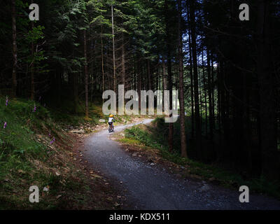 Kind trail Reiten in snowdonia Coed y brenin Stockfoto