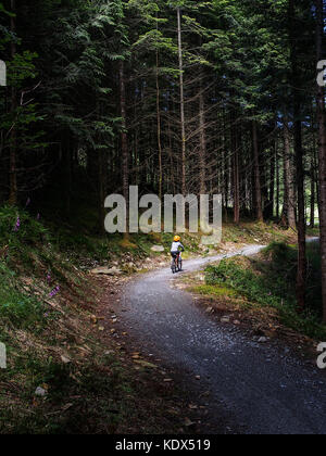 Kind trail Reiten in snowdonia Coed y brenin Stockfoto