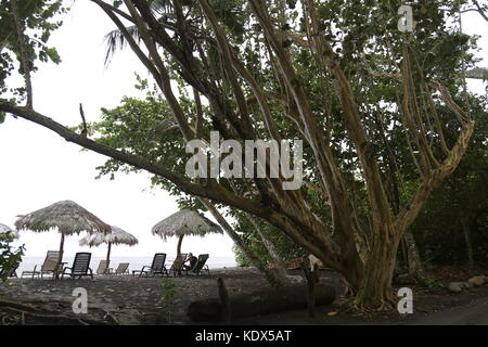 Hotel Banana Azul Beach Club, Playa Negra, Puerto Viejo de Talamanca, Provinz Limón, Karibik, Costa Rica, Mittelamerika Stockfoto