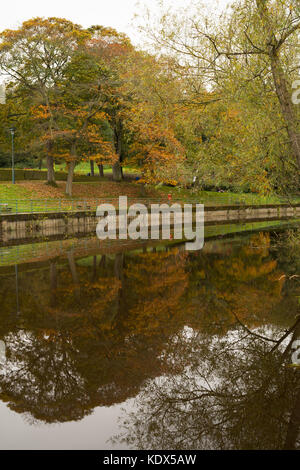 Herbstlaub im Fluss Wansbeck, Morpeth, Northumberland, England, UK wider Stockfoto