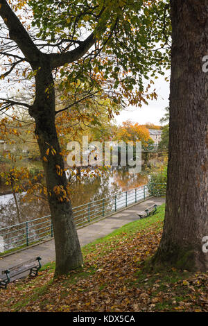 Herbst Farben entlang des Flusses Wansbeck, Morpeth, Northumberland, England, Großbritannien Stockfoto