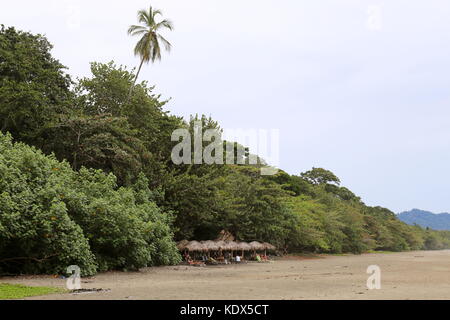 Hotel Banana Azul Beach Club, Playa Negra, Puerto Viejo de Talamanca, Provinz Limón, Karibik, Costa Rica, Mittelamerika Stockfoto