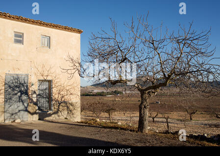 Landschaft rund um La solaneta, Alicante, Spanien Stockfoto