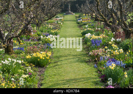 Hergest Croft Gardens, Kington, Herefordshire, UK. Feder Grenzen mit alten Apfelbäume Stockfoto