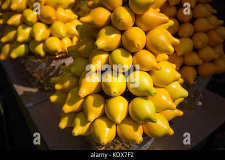 Solanum mammosum Stockfoto